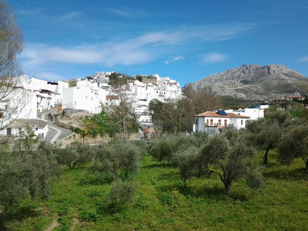 Hotel Casa Grande De 3*